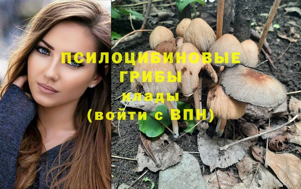 шишки Аркадак
