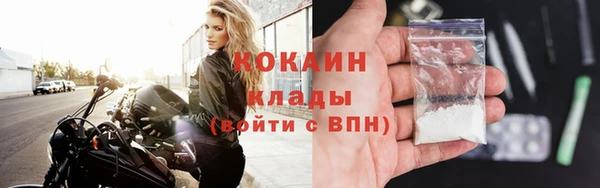 шишки Аркадак