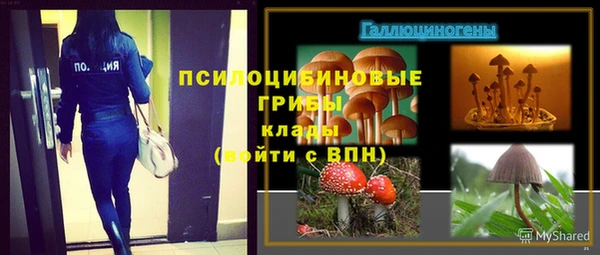соль курить ск Пролетарск